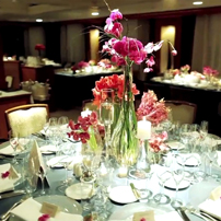 seadream image gallery, signature seadream gallery