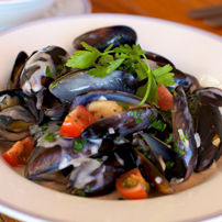 seadream image gallery, signature seadream gallery