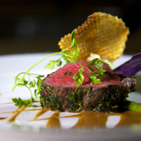 seadream image gallery, signature seadream gallery