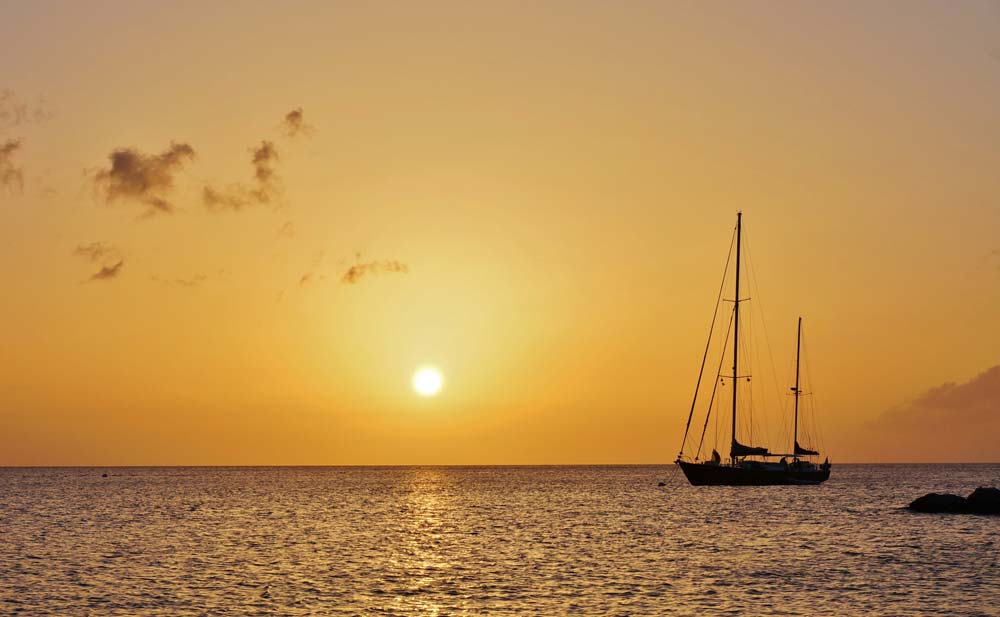 Coconut Grove, Nevis, St. Kitts & Nevis